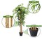 5FT Artificial Wicker Tree in Planter Pot for Indoor Outdoor Decor